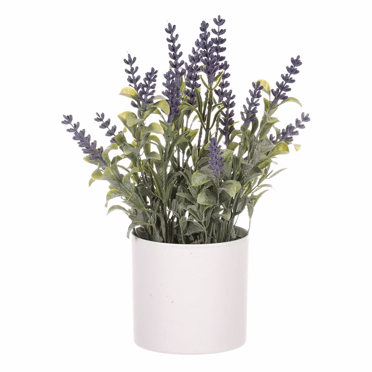 fb7ce2290ee016ed76e5c747a933e9e8