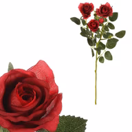 fb976ad2c4deea29072d6a50a356b288