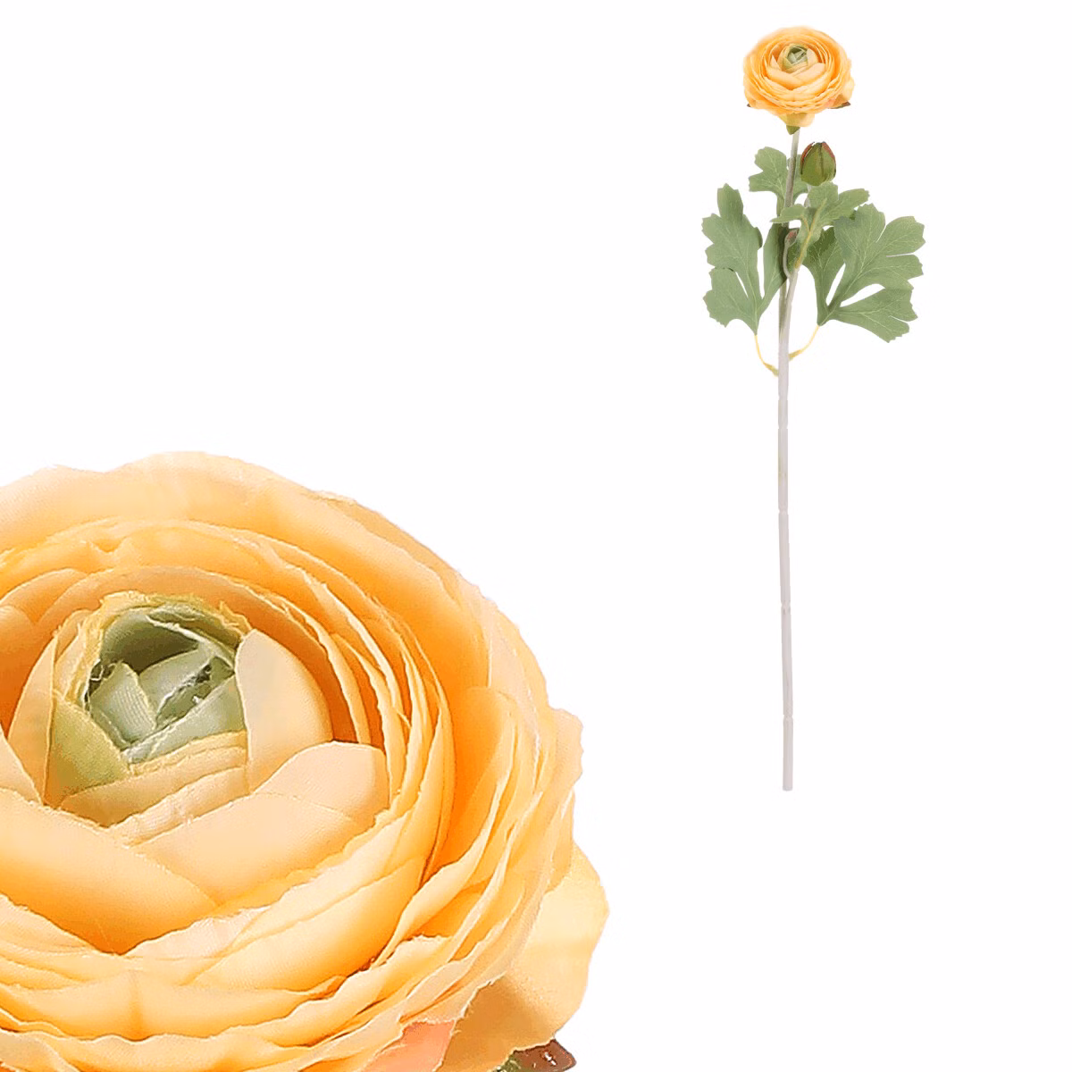 fede6abaa7b5776ee9012b00e1c979d4