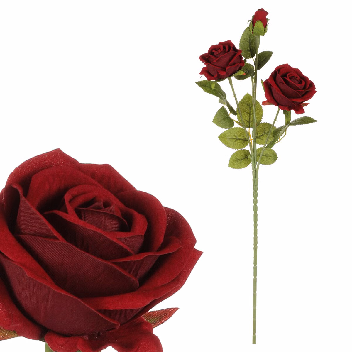 fef07473795f09f23b2135e265fa48f5