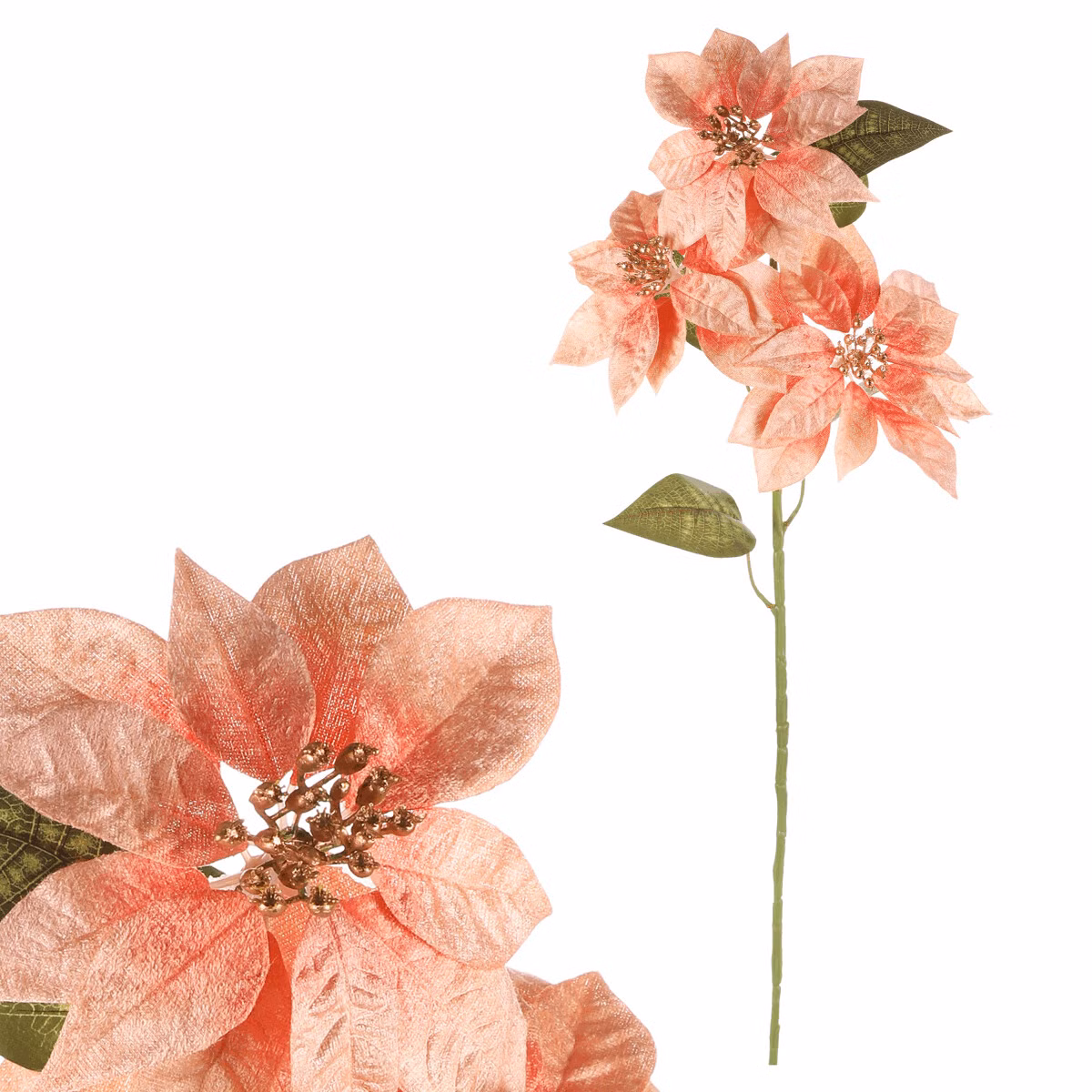 ffbb59ad79cb584749a49147ef8e4fa9