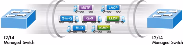 IGS-12040MT_10.jpg
