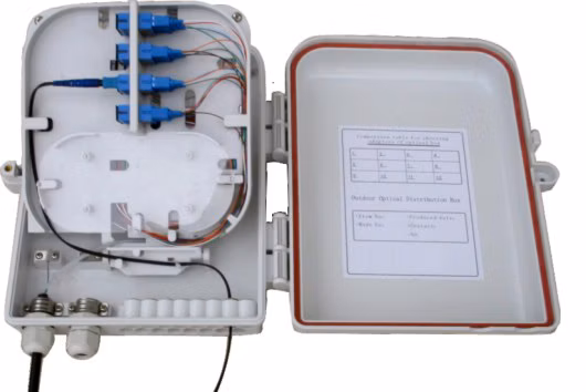 ORSW-216_small.jpg