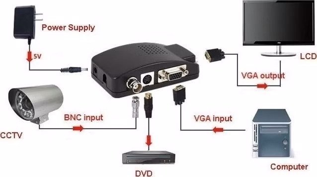 PAV11C.jpg