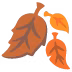🍂
