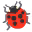 🐞