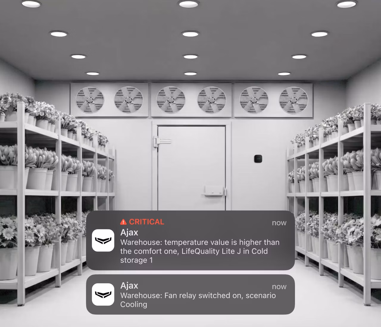 Push notifikace