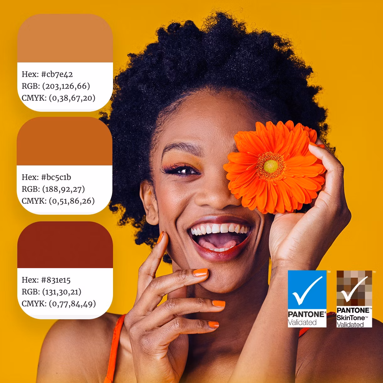 obrázek certifikace Pantone