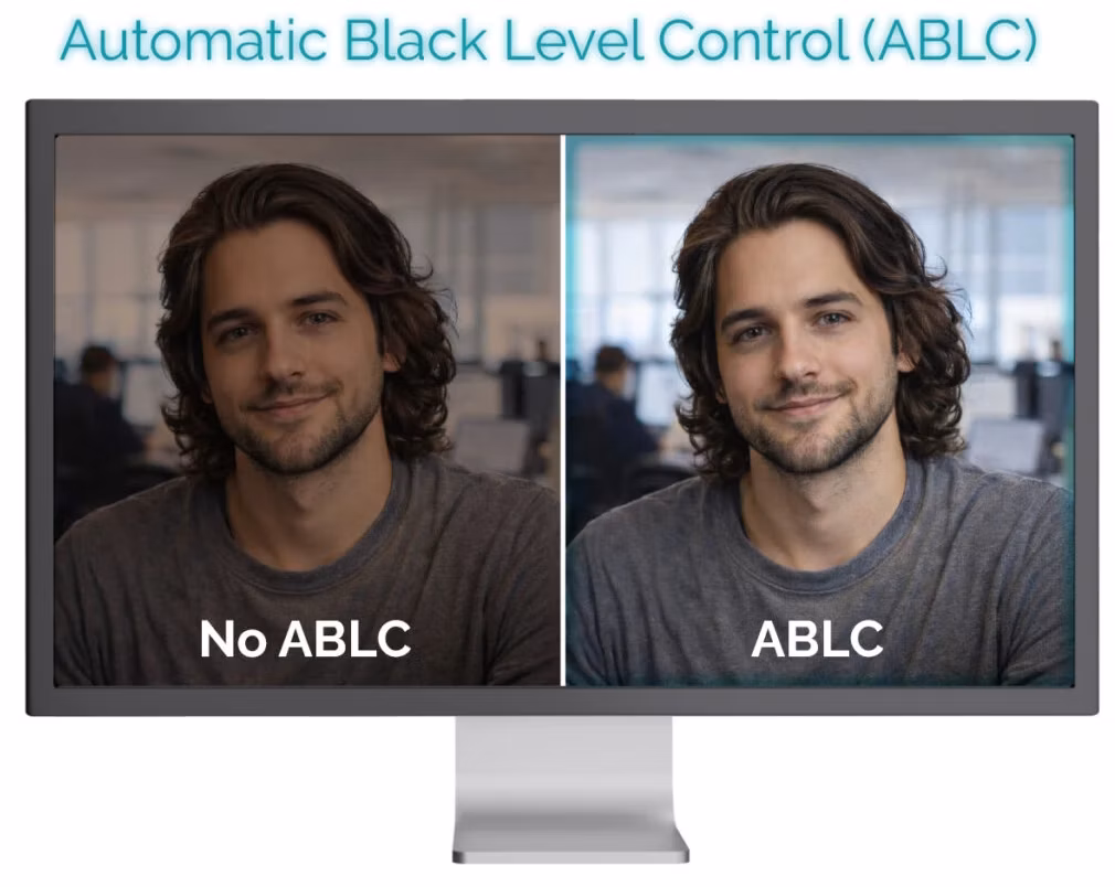ABLC