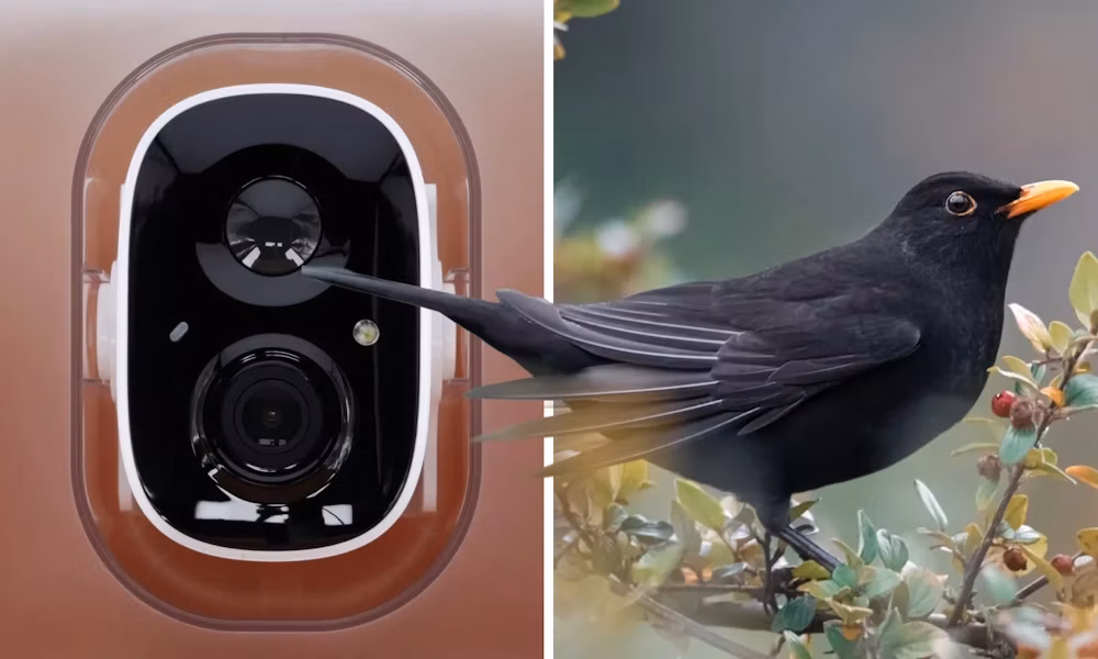 Rollei chytré krmítko pro ptáky 3K